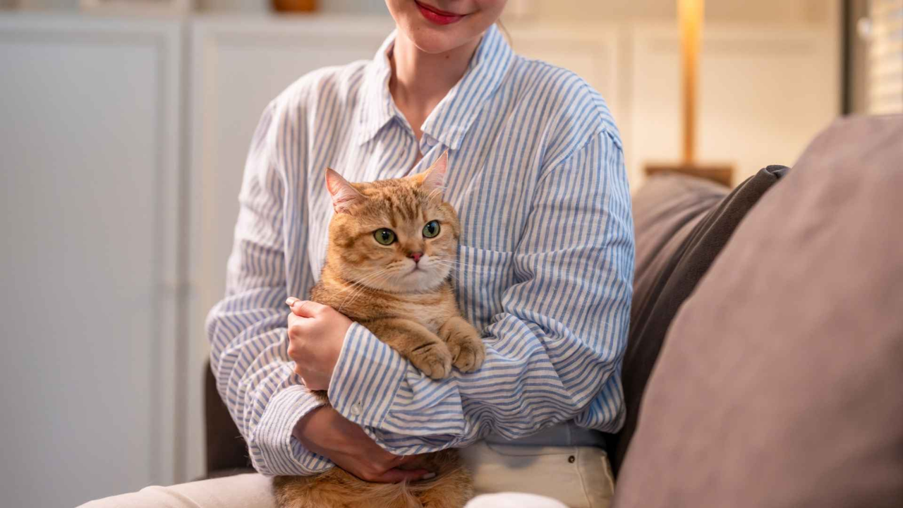 Least Allergic Cat Breeds